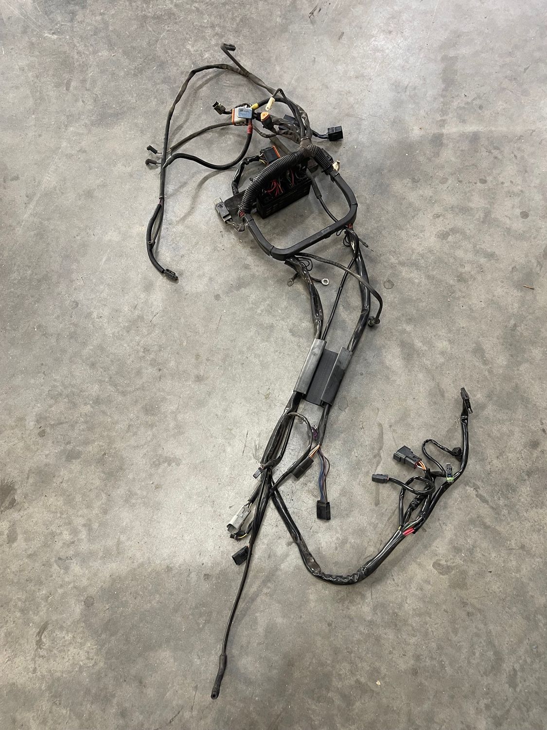 Wiring Harness--2004 Harley-Davidson Heritage Softail