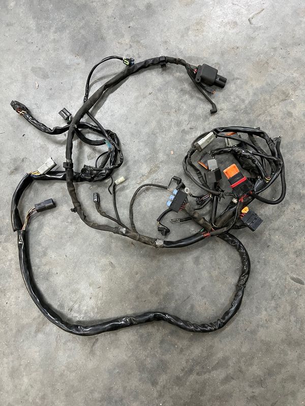 Wiring Harness--2005 Dyna Glide FXD