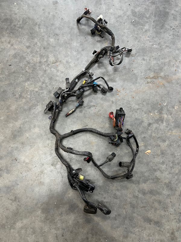 Wiring Harness-Triumph Speedmaster