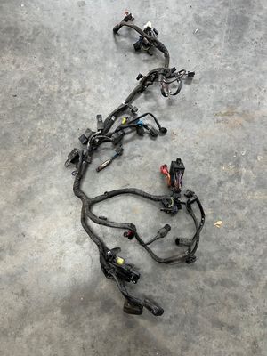Wiring Harness-Triumph Speedmaster