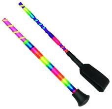 Rainbow Riding Bat