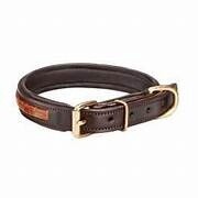 Croc leather collar