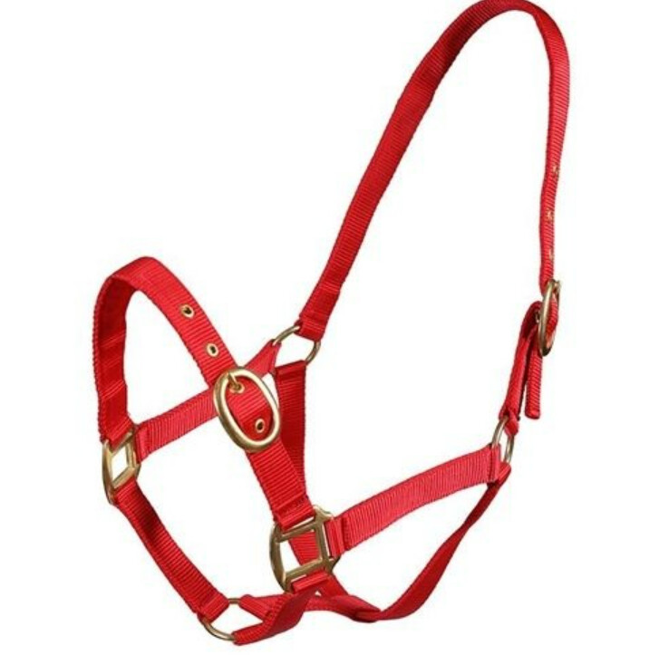 TM Nylon Halter