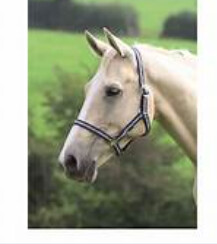 Wessex head collar