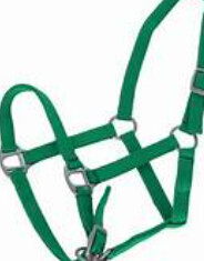 Economy Webbing Headcollar