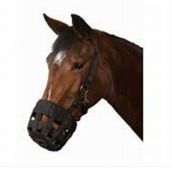 Adjustable Muzzle