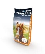 Bluegrass Turmash