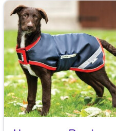 Waterproof Dog Coat