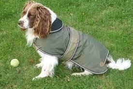 Dog Equipment and Rugs