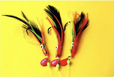 Rainbow warriors rig