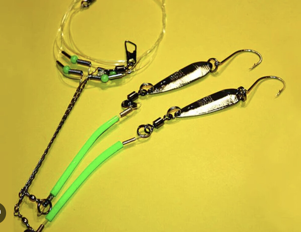 Mickey fish rig