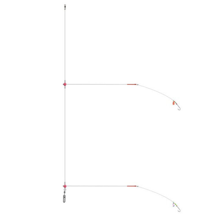 2 Hooks reversible bristle rig
