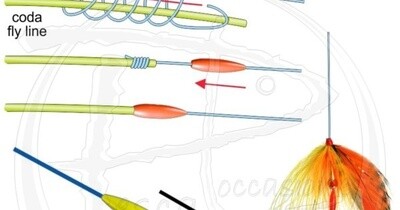 Coprinodo knot cover