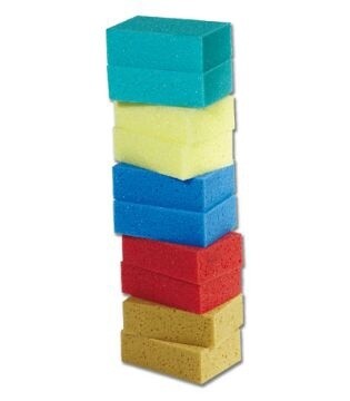 All-Purpose Sponge