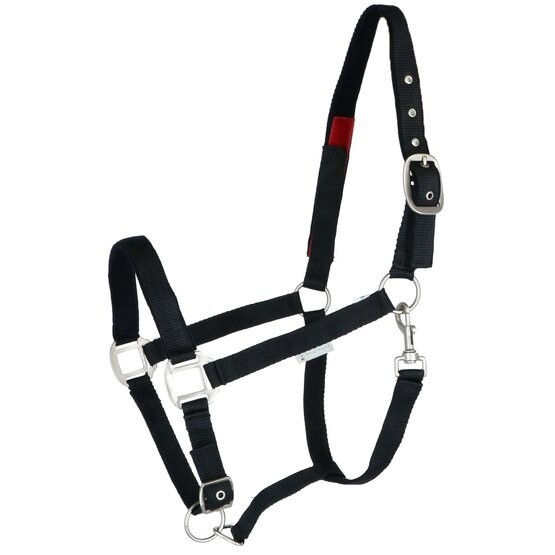 Safety halter
