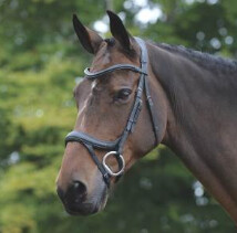 Vouge Comfort Bridle &amp; Reins