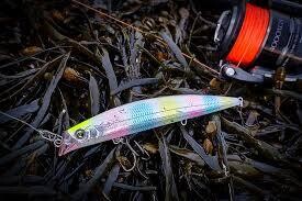 Hard Lure