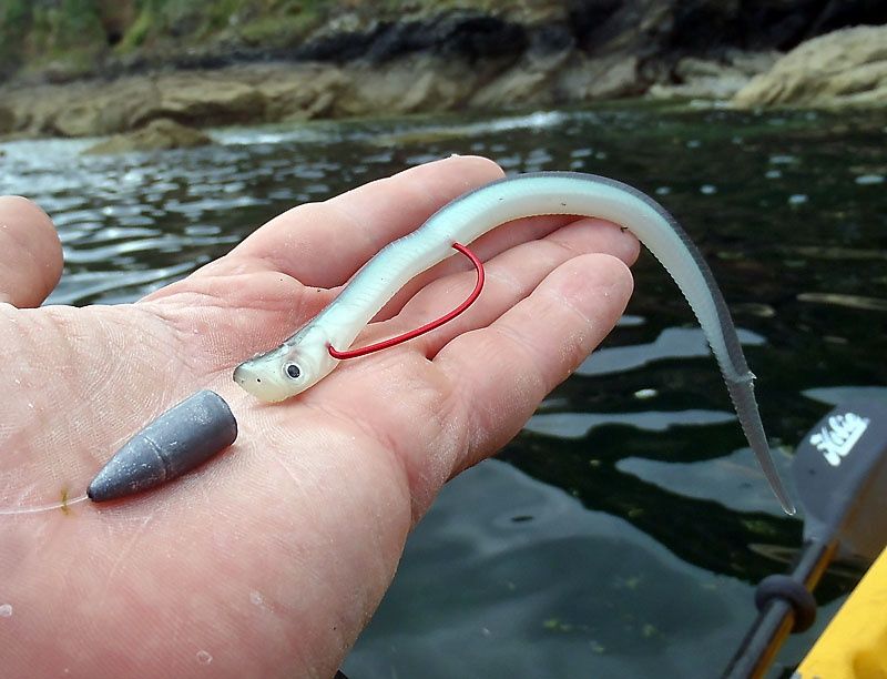 Kona expert lure