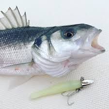 Aquawave Spark 85