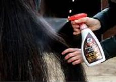 Leovet Detangler