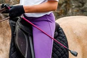 Equisential Whip