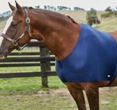 Rug Shoulder Guard