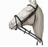 Flash Bridle with Crank Reins