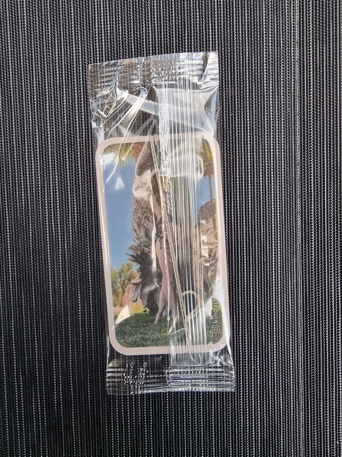 Nr.07 Palm tree's