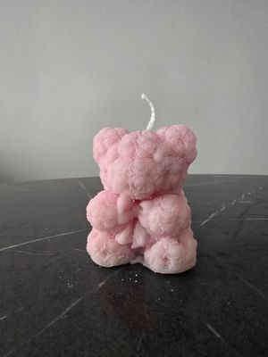 Teddy Friend BrightPink #1