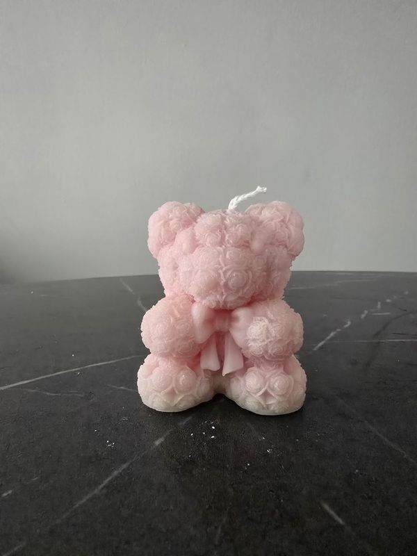 Teddy Friend BrightPink #2