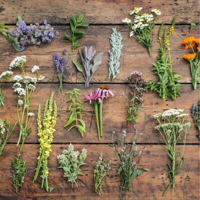 Individual Items - Dried Herbs, Tinctures & Nutrients