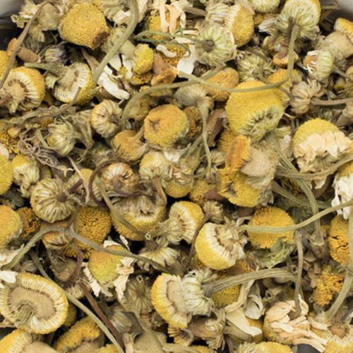 CHAMOMILE?CHRISTMAS SALE! (Matricaria recutita) *Organic herb for horses - stress-softening, digestion-loving, and inner-harmony-settling