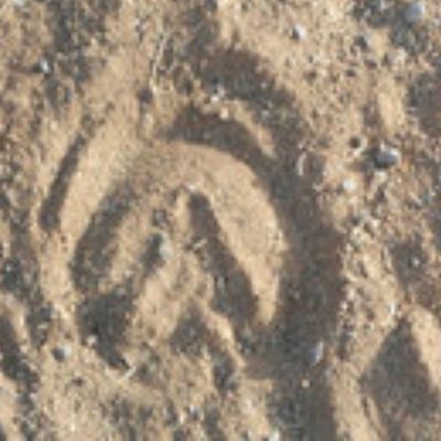 Hooves