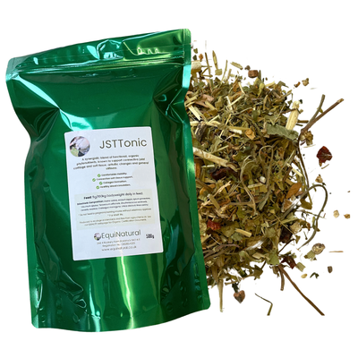 JSTTONIC (Joint & Soft Tissue) - JUNE SALE 20% OFF! *Natural organic support for connective tissue, navicular, and arthritic changes JSTTONIC (Joint & Soft Tissue) - JUNE SALE 20% OFF! *Natural organic support for connective tissue, navicular, and arthritic changes