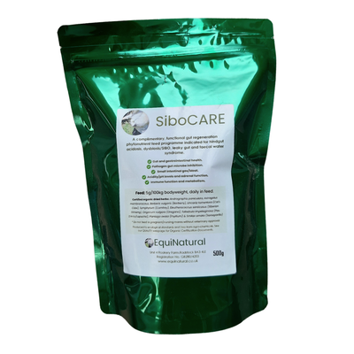 SIBOCARE *Hindgut Regeneration Programme (Dysbiosis, SIBO, Leaky Gut, FWS)