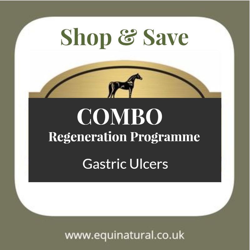 GASTRIC ULCERS COMBO