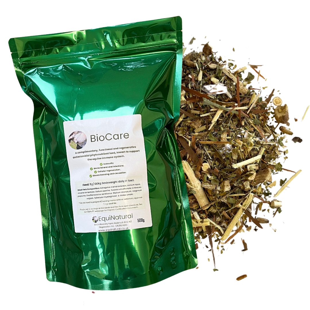 BIOCARE *Natural antimicrobial/antibiotic support for equine immunity