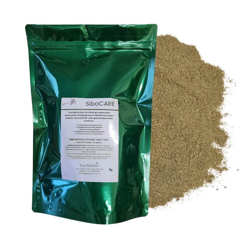 SIBOCARE *Effective equine hindgut dysbiosis/SIBO stabiliser
