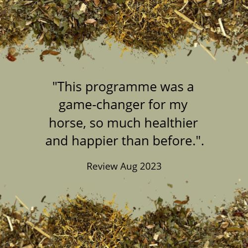 OPTIMAPLUS ?OCTOBER 20%-OFF SALE *Alleviate, Detox, Fortify - a complete 1-month wellness reset programme to help your horse restore balance