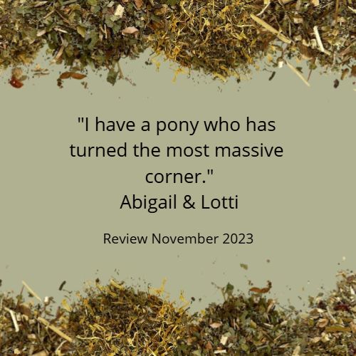 ACETYL L-CARNITINE?CHRISTMAS SALE! *Nutrient for horses - bioactive energy, cellular fuel, metabolic resilience