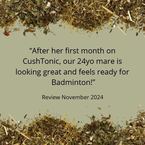 CUSHTONIC?CHRISTMAS SALE! *Organic herbal blend for horses - endocrine-ease, hormone-harmony, everyday-vitality