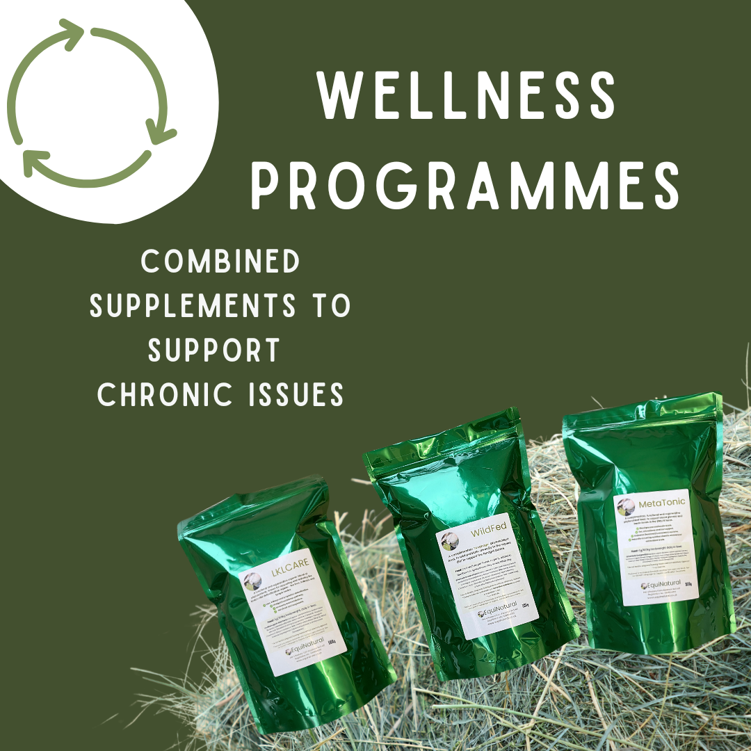 OPTIMAPLUS *Alleviate, Detox, Fortify - a complete 1-month wellness reset programme to help your horse restore balance