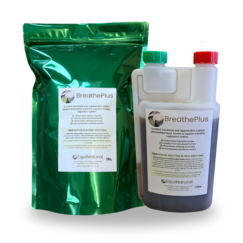 BREATHEPLUS *Powerful natural organic support for chronic equine respiratory / allergy resilience