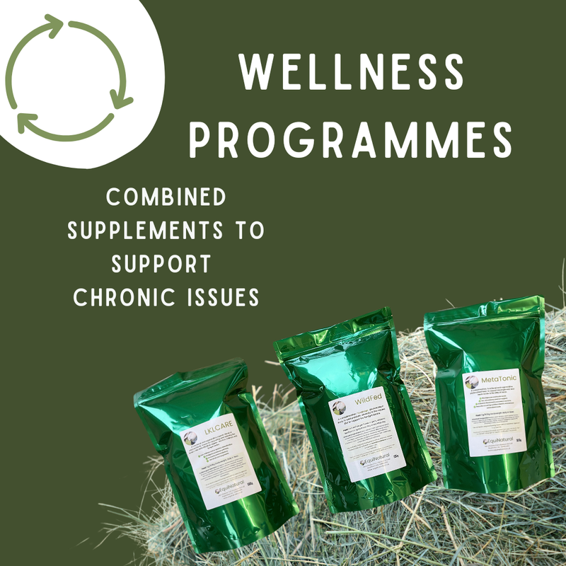 MALLENDERS RESET PROGRAMME *A comprehensive regenerative 2-Month equine mallenders programme