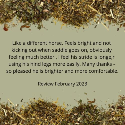 GUTAMINOS?FEBRUARY VALENTINE'S 'SHARETHELOVE' 20%-OFF SALE *Nutrient blend for horses - deep-level nutrition to nourish the gut’s natural barrier