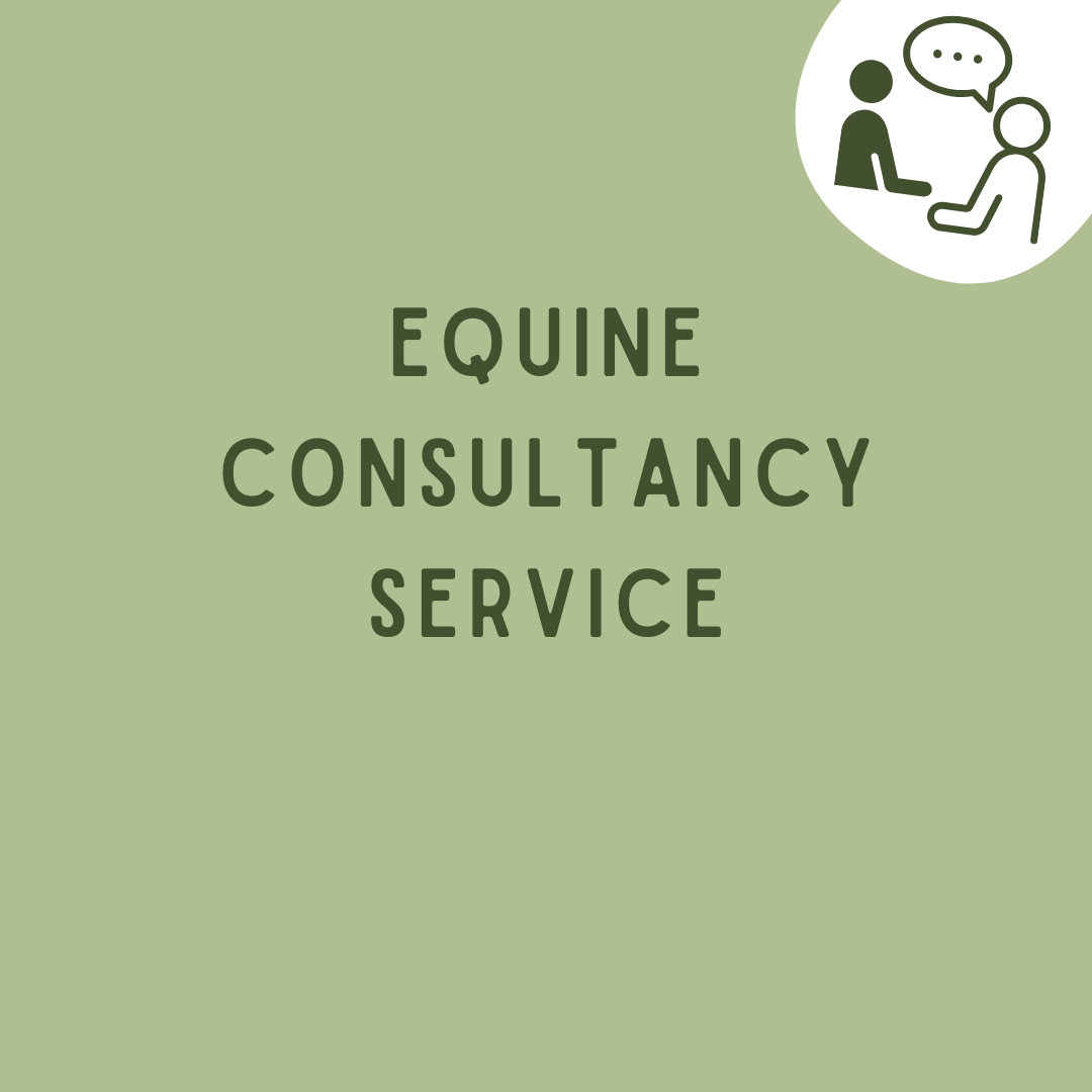 Equine Consultancy Service