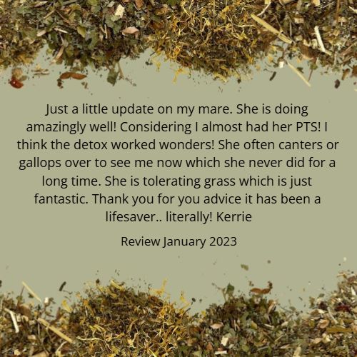 OPTIMACARE ?OCTOBER 20%-OFF SALE *A comprehensive 3-stage full-body detox for equine vitality