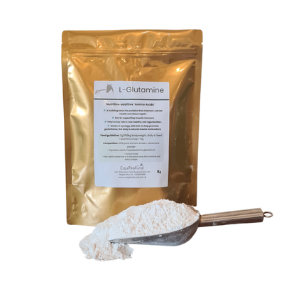L GLUTAMINE *The  cellular powerhouse for repair and resilience