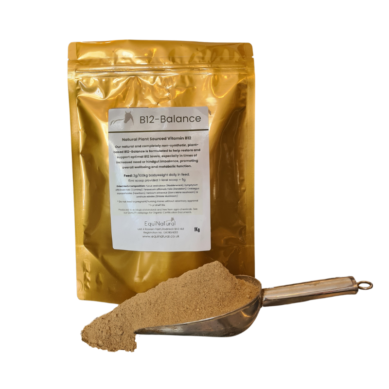 B12-BALANCE *Natural plant-based vitamin B12 for energy, metabolism, and vitality