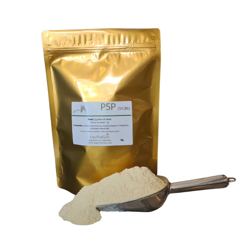 P5P SUBSCRIPTION - SAVE 10% *Activated Vit.B6 (Pyridoxal-5-Phosphate)